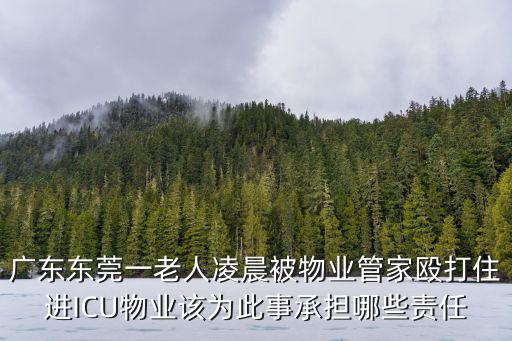 廣東東莞一老人凌晨被物業管家毆打住進ICU物業該為此事承擔哪些責任