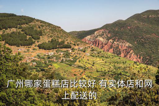 廣州哪家蛋糕店比較好 有實體店和網(wǎng)上配送的