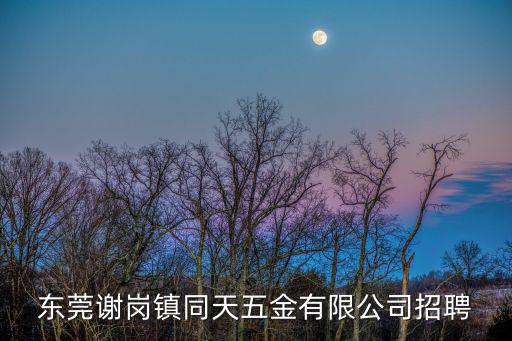 東莞謝崗鎮(zhèn)同天五金有限公司招聘