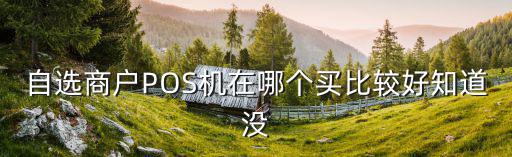 自選商戶POS機在哪個買比較好知道沒