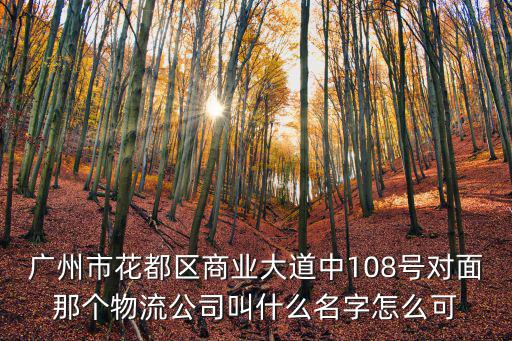 廣州市花都區(qū)商業(yè)大道中108號(hào)對(duì)面那個(gè)物流公司叫什么名字怎么可