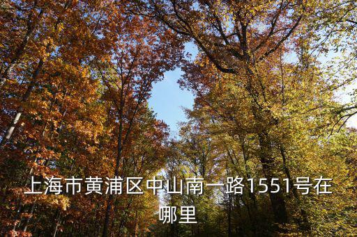上海市黃浦區中山南一路1551號在哪里