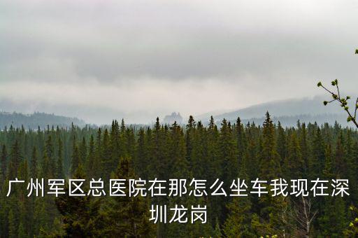 廣州軍區(qū)總醫(yī)院在那怎么坐車我現(xiàn)在深圳龍崗