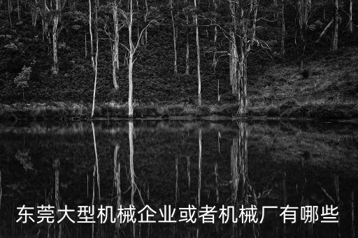 東莞大型機械企業或者機械廠有哪些