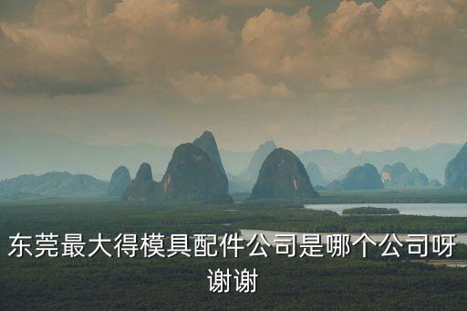 東莞最大得模具配件公司是哪個公司呀謝謝
