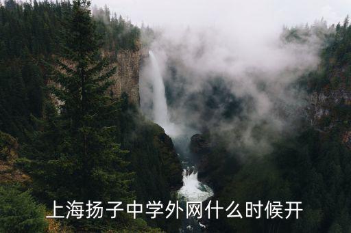上海市揚(yáng)子中學(xué)，2012年上海市崇明縣楊子中學(xué)起分線