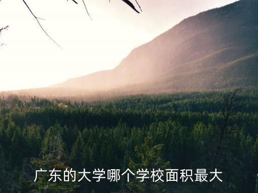 廣東的大學哪個學校面積最大
