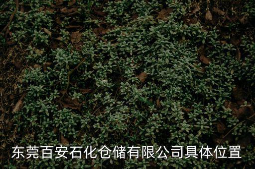 東莞市旭源石油化工有限公司，東莞百安石化倉儲有限公司具體位置