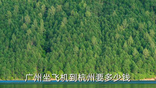 廣州坐飛機到杭州要多少錢