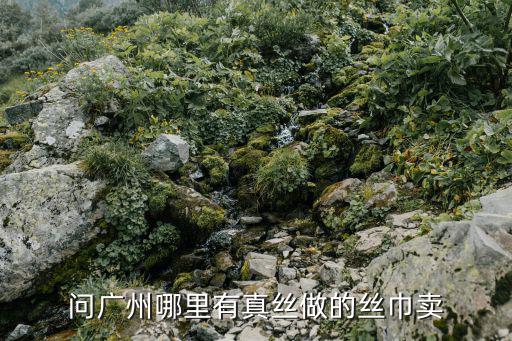 問廣州哪里有真絲做的絲巾賣