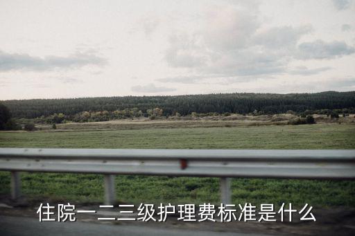 住院一二三級護理費標準是什么