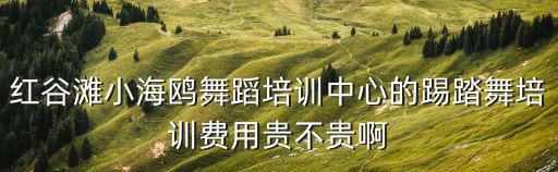 紅谷灘小海鷗舞蹈培訓中心的踢踏舞培訓費用貴不貴啊