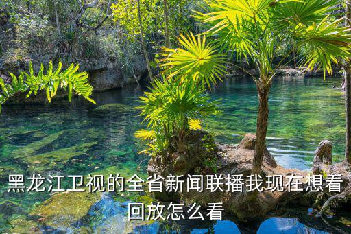 黑龍江衛視的全省新聞聯播我現在想看回放怎么看