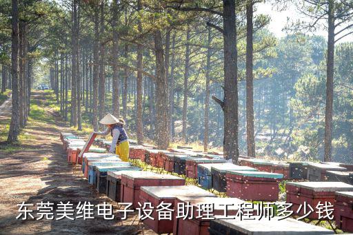 東莞美維電子設(shè)備助理工程師多少錢