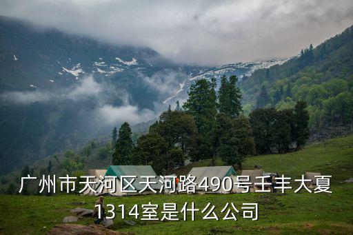 廣州市天河區天河路490號壬豐大夏1314室是什么公司