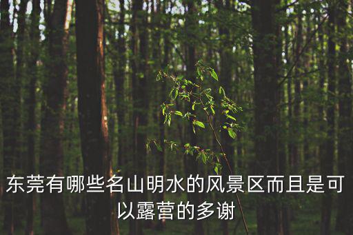 東莞有哪些名山明水的風景區(qū)而且是可以露營的多謝