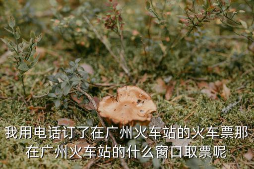我用電話訂了在廣州火車站的火車票那在廣州火車站的什么窗口取票呢