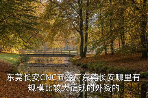 東莞長安CNC五金廠東莞長安哪里有規模比較大正規的外資的