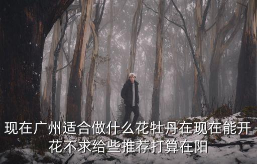 現在廣州適合做什么花牡丹在現在能開花不求給些推薦打算在陽