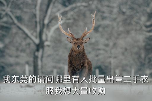 我東莞的請問哪里有人批量出售二手衣服我想大量收購