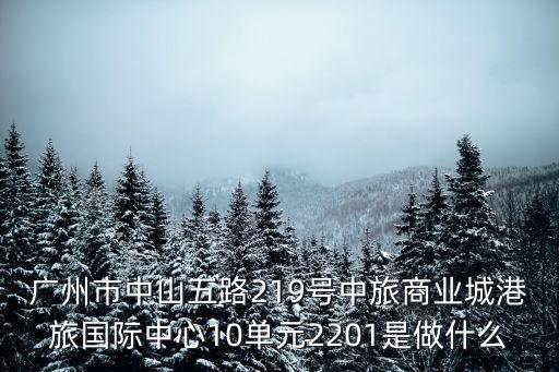 廣州市中山五路219號中旅商業城港旅國際中心10單元2201是做什么