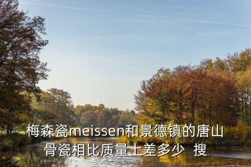 梅森瓷meissen和景德鎮(zhèn)的唐山骨瓷相比質(zhì)量上差多少  搜