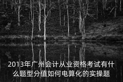 2013年廣州會(huì)計(jì)從業(yè)資格考試有什么題型分值如何電算化的實(shí)操題