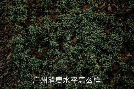 廣州消費(fèi)水平怎么樣