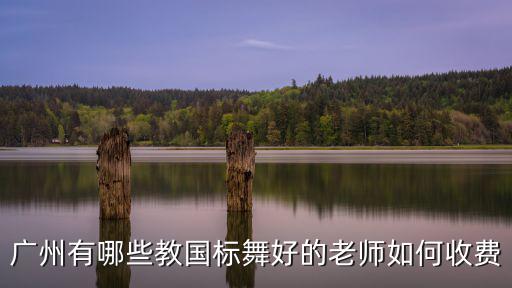 廣州有哪些教國標舞好的老師如何收費