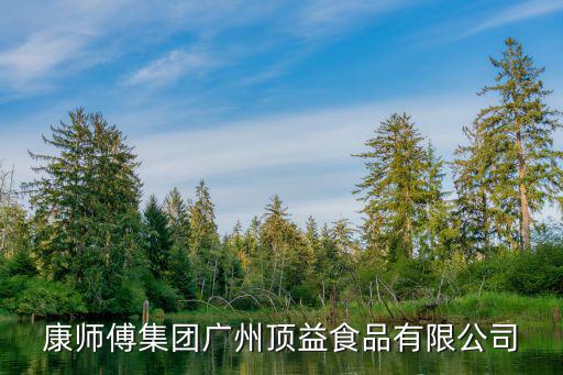 康師傅集團(tuán)廣州頂益食品有限公司
