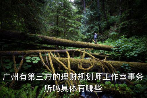 廣州有第三方的理財規(guī)劃師工作室事務(wù)所嗎具體有哪些