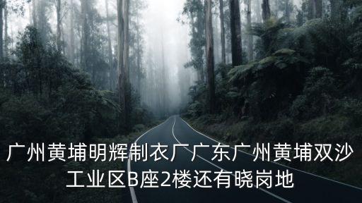 廣州黃埔明輝制衣廠廣東廣州黃埔雙沙工業區B座2樓還有曉崗地