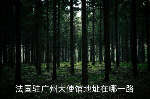 法國駐廣州大使館地址在哪一路