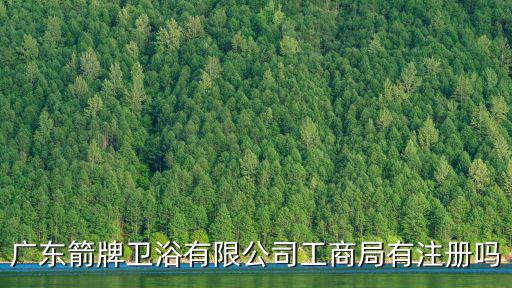 廣東箭牌衛浴有限公司工商局有注冊嗎