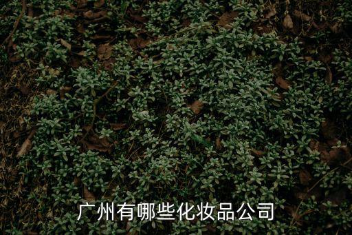 廣州有哪些化妝品公司