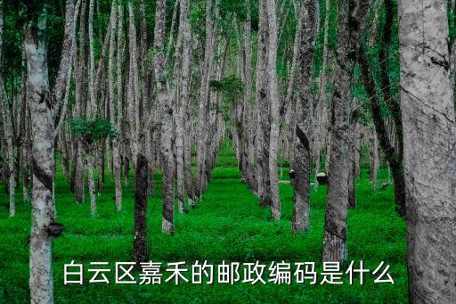 白云區嘉禾的郵政編碼是什么