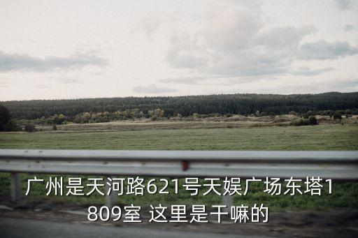 廣州是天河路621號天娛廣場東塔1809室 這里是干嘛的