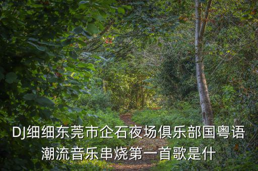 DJ細細東莞市企石夜場俱樂部國粵語潮流音樂串燒第一首歌是什