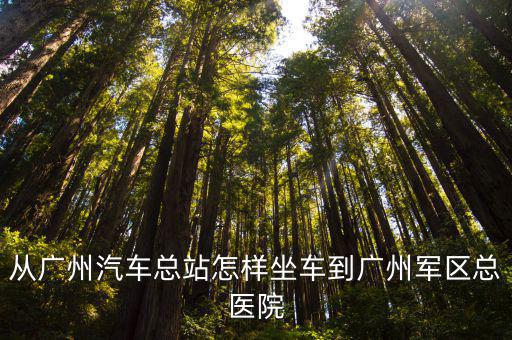 從廣州汽車總站怎樣坐車到廣州軍區(qū)總醫(yī)院