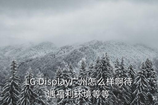 LG Display廣州怎么樣啊待遇福利環境等等