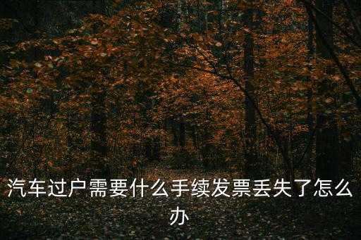 汽車過戶需要什么手續發票丟失了怎么辦