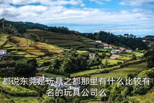 東莞匯利豐玩具廠，東莞玩具廠哪里比較集中