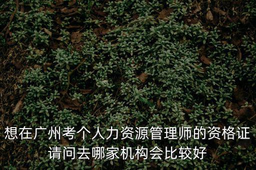 想在廣州考個人力資源管理師的資格證請問去哪家機構(gòu)會比較好