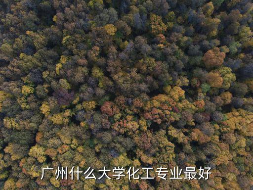 廣州什么大學化工專業最好