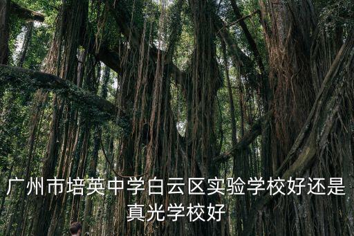 廣州市培英中學(xué)白云區(qū)實(shí)驗(yàn)學(xué)校好還是真光學(xué)校好