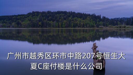 廣州市越秀區環市中路207號恒生大夏C座付樓是什么公司