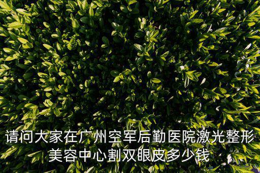 請問大家在廣州空軍后勤醫院激光整形美容中心割雙眼皮多少錢