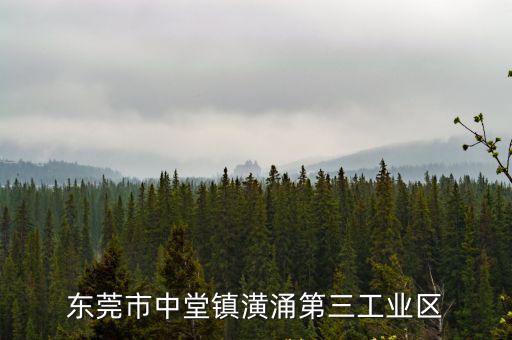 東莞中堂鎮 書記，請問現任東莞市中堂鎮潢涌村書記叫什么名字