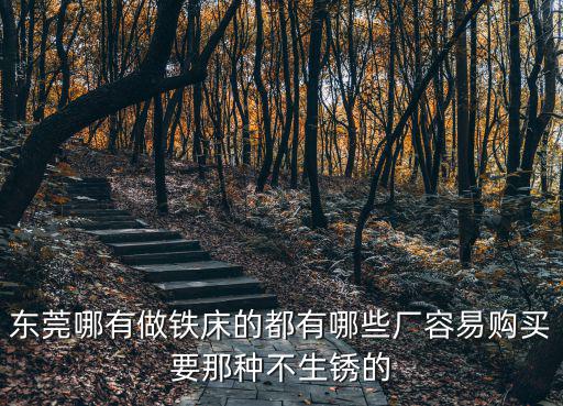 東莞哪有做鐵床的都有哪些廠容易購買要那種不生銹的