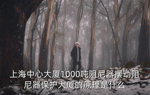 上海中心大廈1000噸阻尼器擺動阻尼器保護大廈的原理是什么